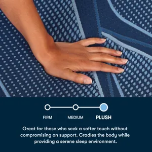 iSeries NXG 2500 12.5\" Memory Foam Plush Mattress -California King