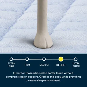Serta Perfect Day 16\" Plush Pillow Top Mattress in a Box -Full