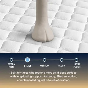 Perfect Sleeper Cascade Canyon Firm 13\"  Firm Mattress -Twin