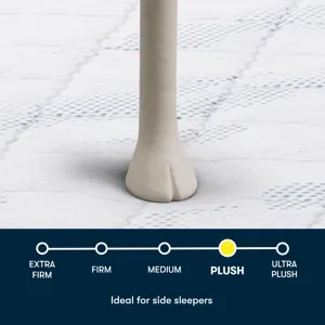 Serta Perfect Day 10\" Plush Pillow Top Mattress in a Box -Twin