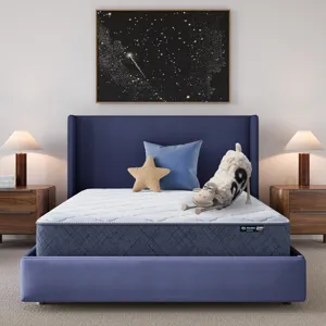 Five Star Mattress Sleep to Go 10\\\" Medium Mattress in a Box