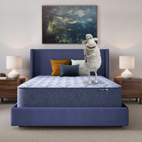 Serta Perfect Day 14" Plush Mattress in a Box