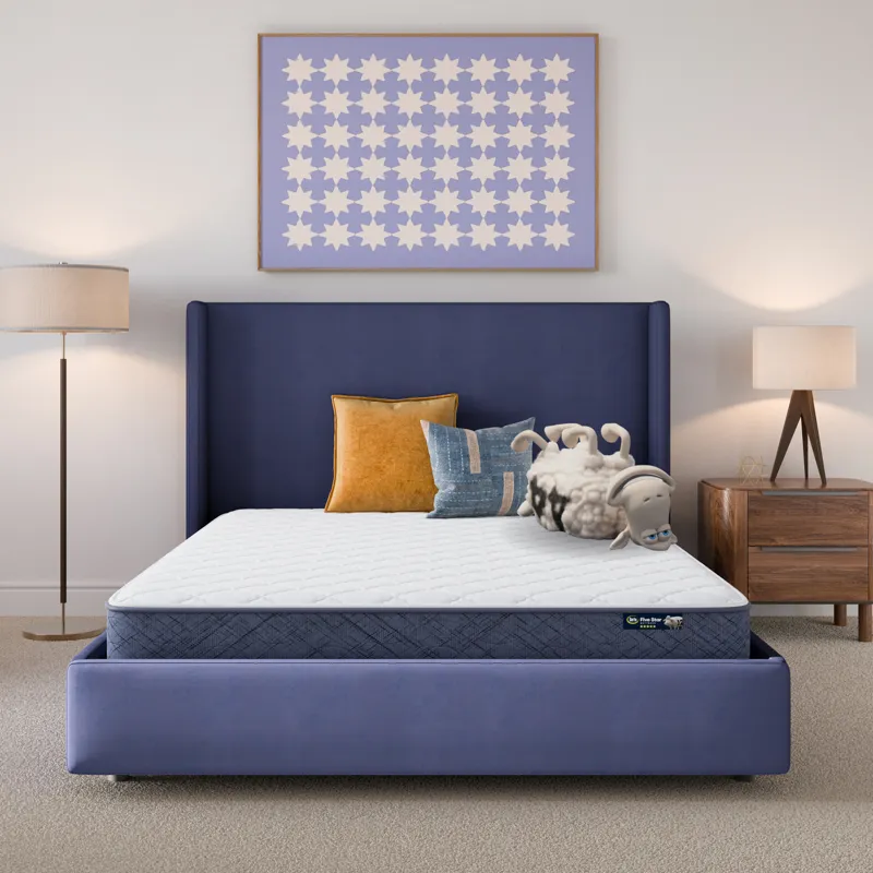 Five Star Mattress Sleep to Go 7\\\" Firm Mattress in a Box