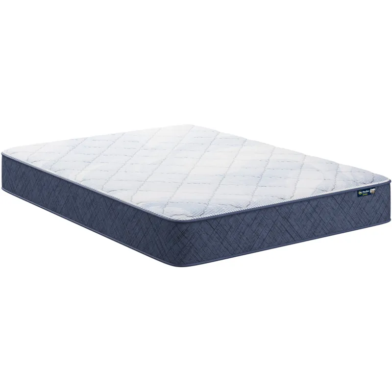 Five Star Mattress Sleep to Go 10\\\" Medium Mattress in a Box