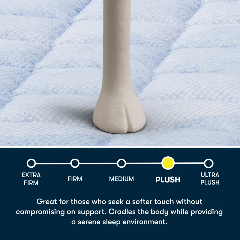 Serta Perfect Day 14\" Plush Mattress in a Box -Queen