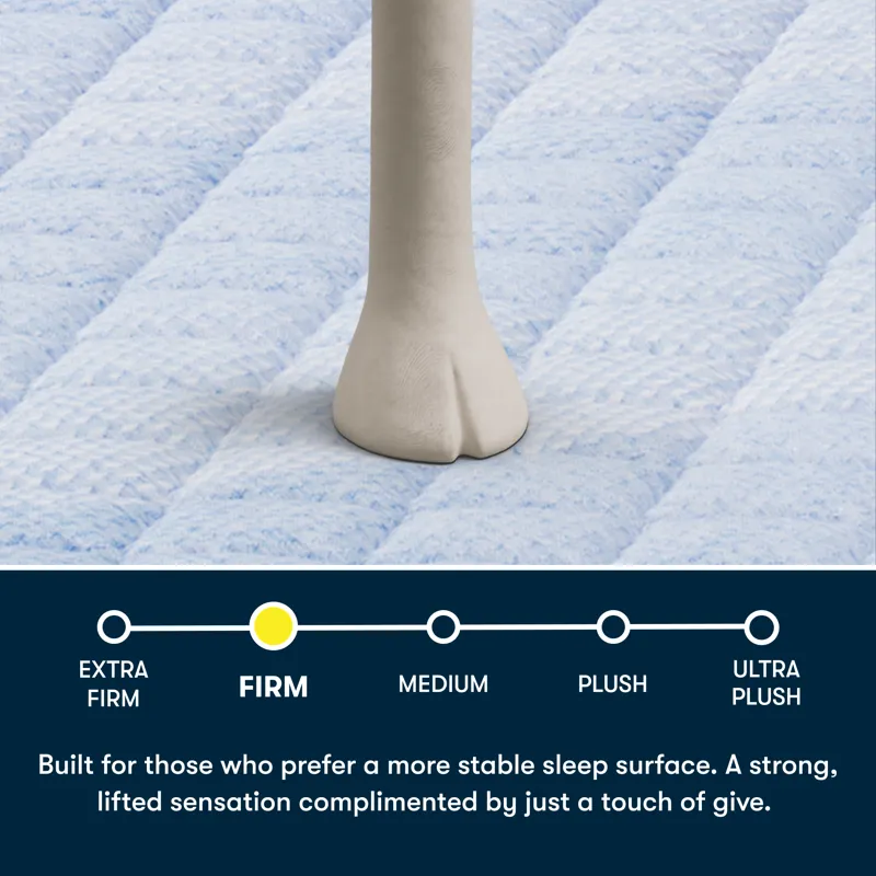Serta Perfect Day 14\" Firm Mattress in a Box -Twin