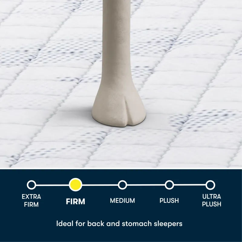 Serta Perfect Day 12\" Firm Mattress in a Box -Twin