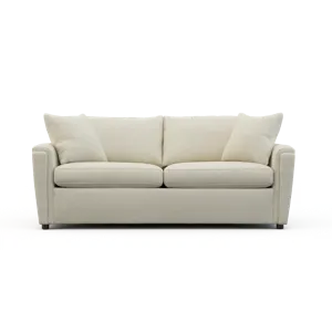 Sleep Sofa