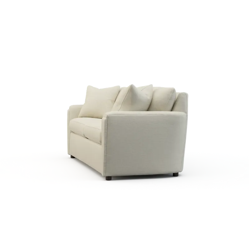 Sleep Sofa