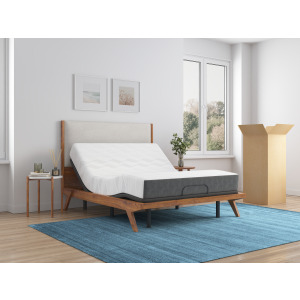 XXV MIAB Selene Ocho Medium (MIAB)