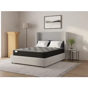 04-Aurora VIII - 1827 - 8.5in_4 (1).jpg