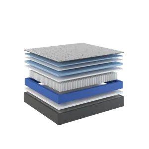 06-1_1969 Vista Extra Firm.png