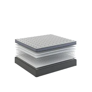 1981 VILLA II  Euro Top.jpg