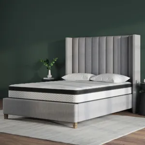 Amplify Exclusive Elevate Foam FxET