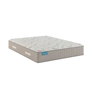 Spring Free Approachable Firm TT Cal King