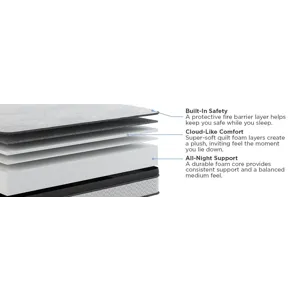 Amplify Exclusive Elevate Foam FxET