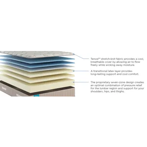 Spring Free Approachable Firm TT Twin XL