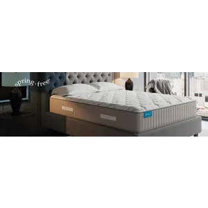 Spring Free Approachable Firm TT Twin XL