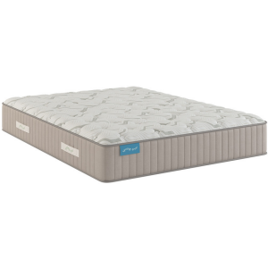 Spring Free Approachable Firm TT Mattress