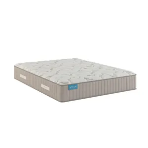 Spring Free Approachable Firm TT Mattress