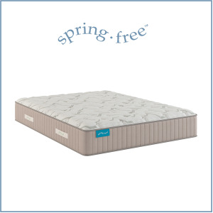 Spring Free Approachable Ultra Soft ET Mattress