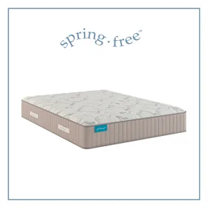 Spring Free Approachable Ultra Soft ET Mattress