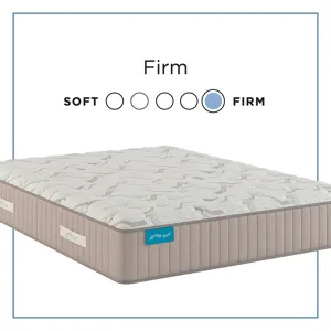 Spring Free Approachable Firm TT Twin XL