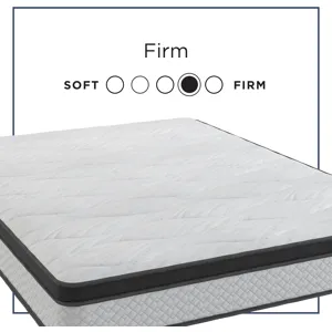 Amplify Exclusive Elevate Foam FxET