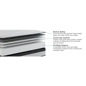 Amplify Exclusive Elevate Foam FxET