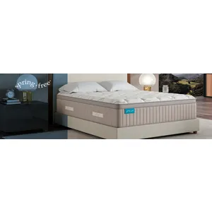 Spring Free® Approachable Ultra Soft ET