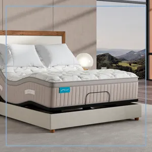 Spring Free® Approachable Ultra Soft ET