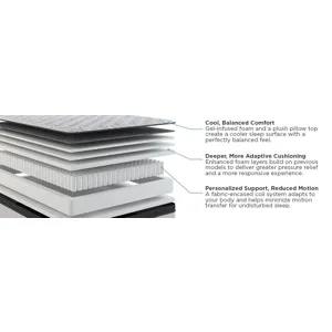 Amplify Exclusive Momentum Medium Pillowtop