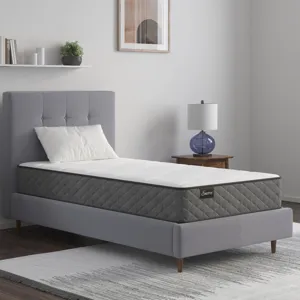 Encore® Somerset Promo Foam Firm Double Mattress