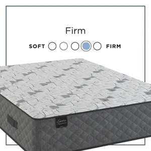 Encore® Windsor Tight Top Firm Queen Mattress