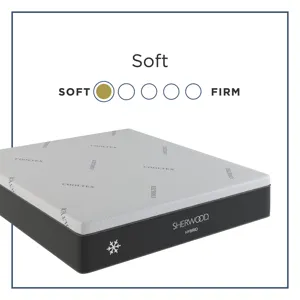 National Line Hybrid II Soft Queen Mattress