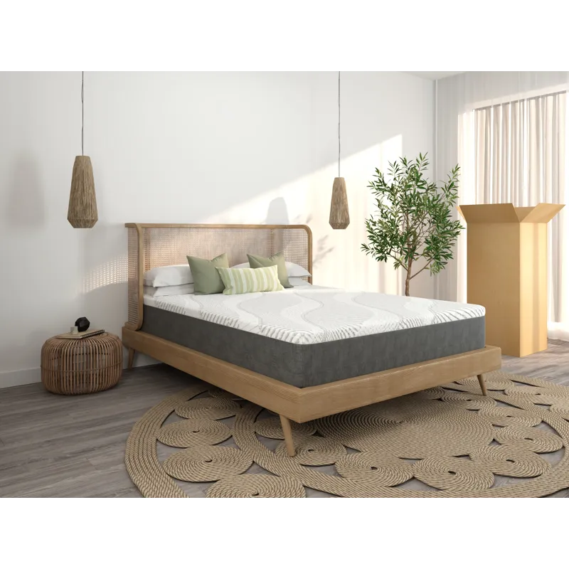 02-SELENE DIEZ - 1825 - 10in_4.jpg