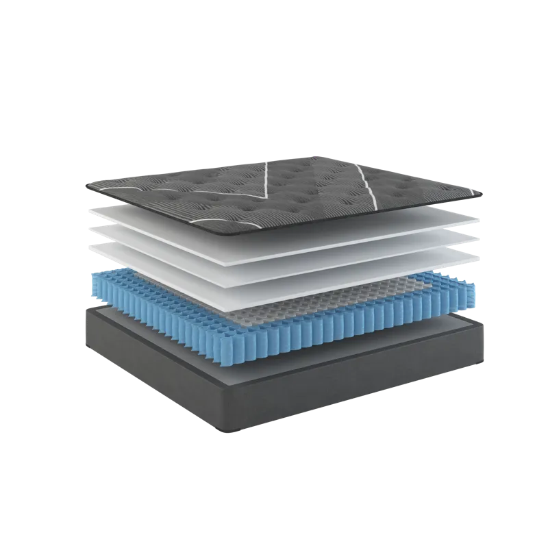 04-Aurora VIII - 1827 - 8.5in_3 (2).png