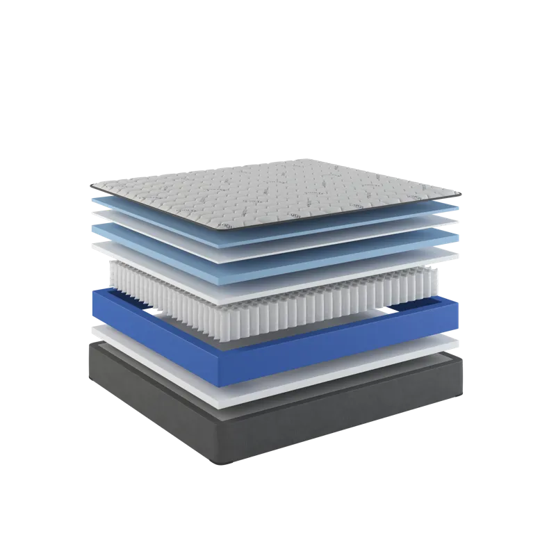 06-1_1969 Vista Extra Firm.png