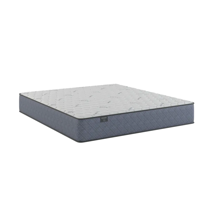 06-2_1969 Vista Extra Firm.png