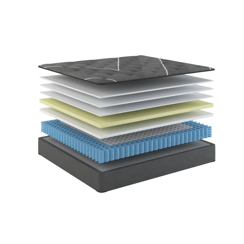 06-Aurora XII- 1851 - 12.5in_3 (2).png