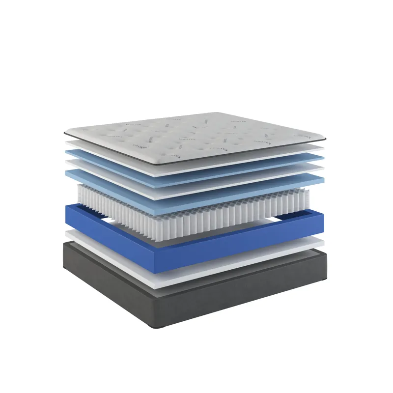 1976 Vista II  Premium Plush.jpg