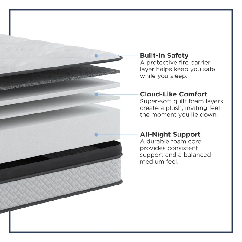 Amplify Exclusive Elevate Foam FxET