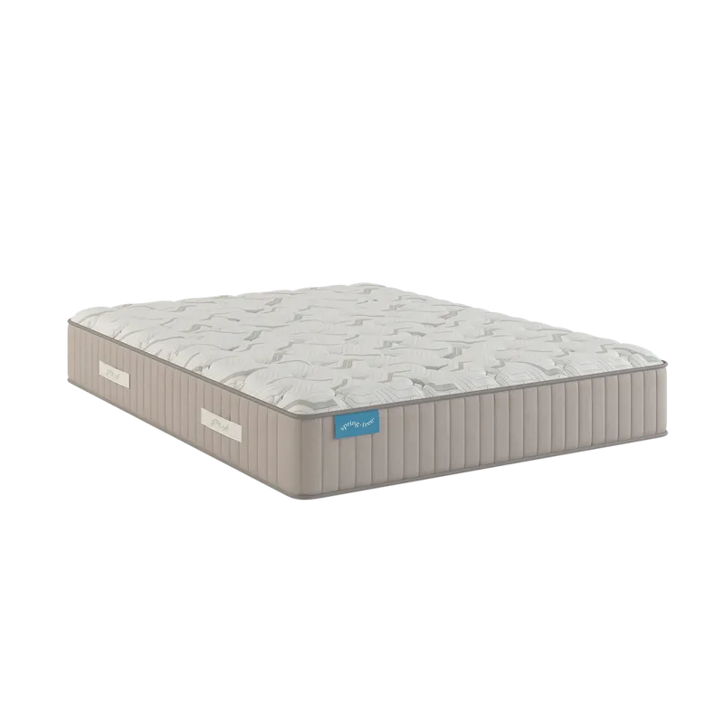 Spring Free Approachable Firm TT Cal King