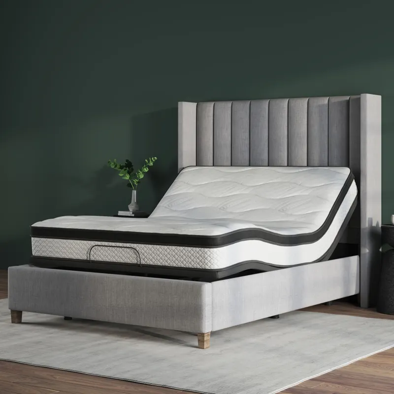 Amplify Exclusive Elevate Foam FxET