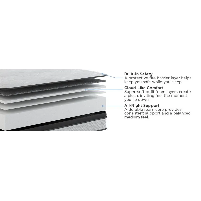 Amplify Exclusive Elevate Foam FxET