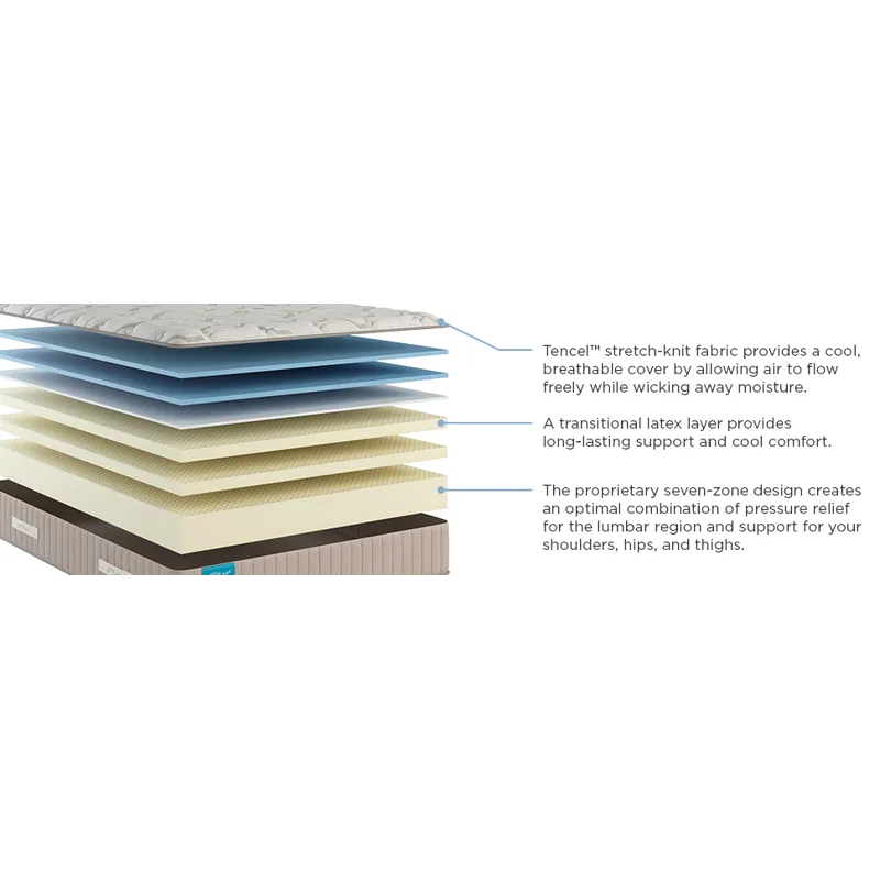 Spring Free Approachable Firm TT Twin XL