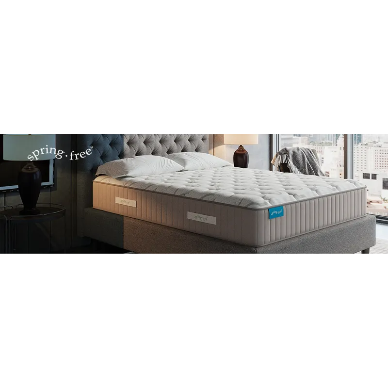 Spring Free Approachable Firm TT Twin XL