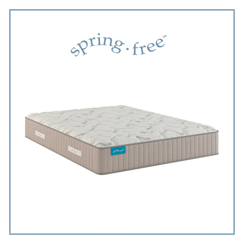 Spring Free Approachable Firm TT Twin XL