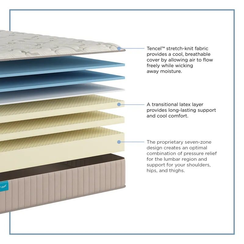 Spring Free Approachable Firm TT Twin XL