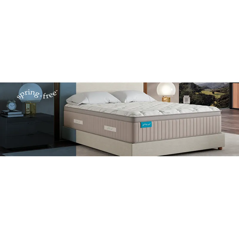 Spring Free® Approachable Ultra Soft ET